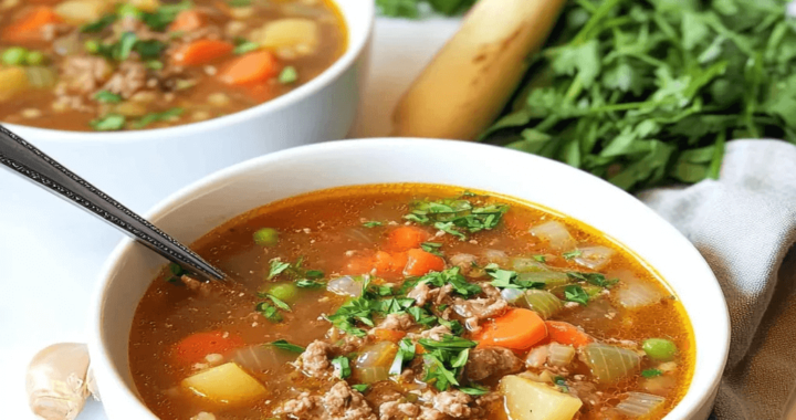 Vegetable Beef Soup