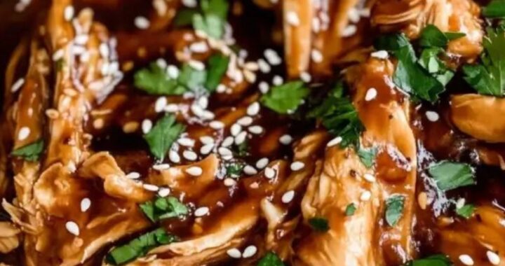 Hoisin Chicken Recipe with Garlic & Ginger – Quick & Easy! (6)